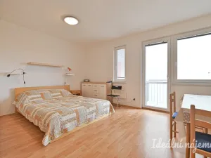 Pronájem bytu 1+kk, Brno, Francouzská, 30 m2