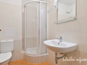 Pronájem bytu 1+kk, Brno, Francouzská, 30 m2