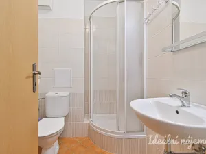 Pronájem bytu 1+kk, Brno, Francouzská, 30 m2