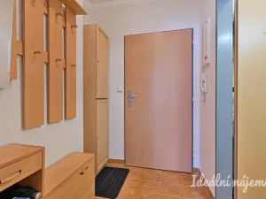 Pronájem bytu 1+kk, Brno, Francouzská, 30 m2