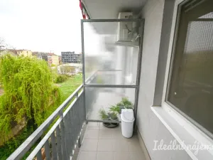 Pronájem bytu 1+kk, Brno, Francouzská, 30 m2