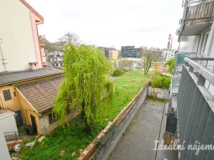 Pronájem bytu 1+kk, Brno, Francouzská, 30 m2