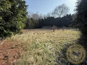 Prodej chaty, Přestavlky u Čerčan, 20 m2