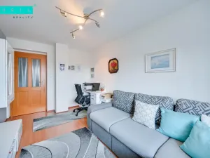 Prodej rodinného domu, Senice na Hané, Hliníky, 1063 m2