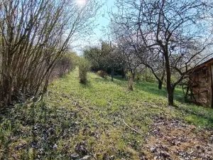 Prodej zahrady, Soběchleby, 1872 m2