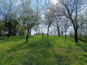 Prodej zahrady, Soběchleby, 1872 m2