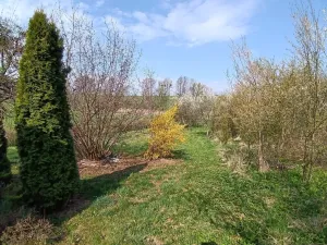 Prodej zahrady, Soběchleby, 1872 m2