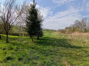 Prodej zahrady, Soběchleby, 1872 m2