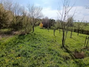 Prodej zahrady, Soběchleby, 1872 m2