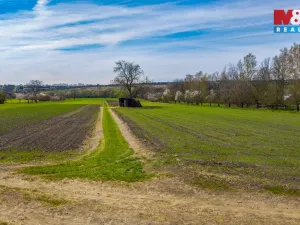 Prodej pole, Třebenice, 3309 m2