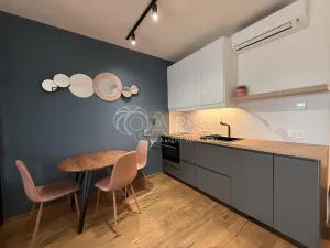 Pronájem bytu 1+kk, Praha - Karlín, Křižíkova, 33 m2