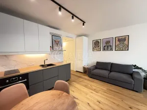 Pronájem bytu 1+kk, Praha - Karlín, Křižíkova, 33 m2