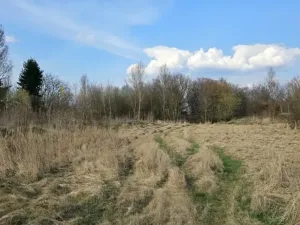 Dražba pozemku pro bydlení, Praha - Ďáblice, Červenomlýnská, 3900 m2