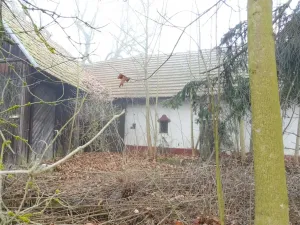 Dražba rodinného domu, Milevsko, 80 m2