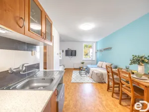 Pronájem bytu 1+kk, Kořenov, 29 m2