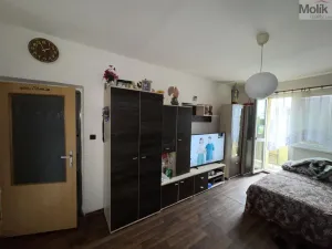 Prodej bytu 2+1, Duchcov, Bydžovského, 51 m2