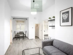 Pronájem bytu 2+kk, Plzeň, Guldenerova, 43 m2