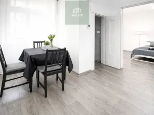 Pronájem bytu 2+kk, Plzeň, Guldenerova, 43 m2