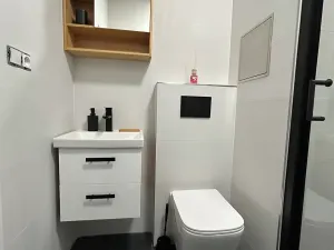 Prodej bytu 1+kk, Karlovy Vary, Fibichova, 19 m2