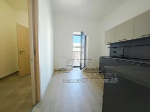 Pronájem bytu 1+kk, České Budějovice, Fráni Šrámka, 40 m2