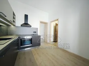Pronájem bytu 1+kk, České Budějovice, Fráni Šrámka, 40 m2