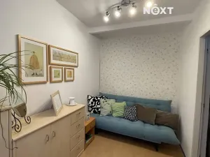 Prodej zemědělské usedlosti, Lhenice, Netolická, 400 m2