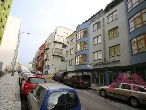 Pronájem bytu 2+kk, Praha - Žižkov, Jeseniova, 53 m2