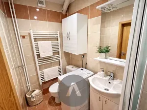 Prodej bytu 1+kk, Kuřim, Wolkerova, 25 m2