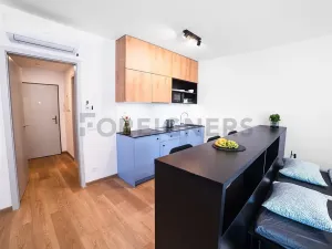 Pronájem bytu 1+kk, Olomouc, Edmunda Husserla, 43 m2