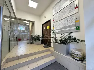 Pronájem obchodního prostoru, Praha - Karlín, Thámova, 36 m2