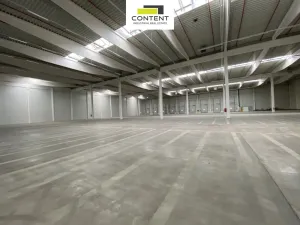 Pronájem výrobních prostor, Plazy, 4604 m2