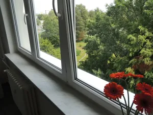 Pronájem bytu 2+kk, Ostrava - Poruba, Slavíkova, 37 m2