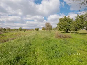 Prodej pozemku pro bydlení, Těmice, 40 m2