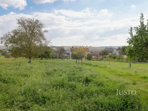 Prodej pozemku pro bydlení, Těmice, 40 m2