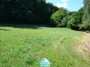 Prodej pozemku pro bydlení, Rybniště, 3658 m2