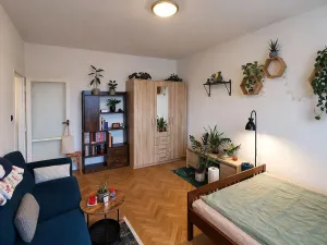 Pronájem bytu 1+1, Pardubice - Zelené Předměstí, Na Hrádku, 37 m2