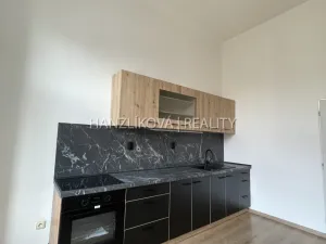 Pronájem bytu 1+1, České Budějovice - České Budějovice 6, Žižkova tř., 49 m2