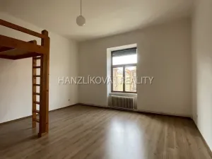 Pronájem bytu 1+1, České Budějovice - České Budějovice 6, Žižkova tř., 49 m2