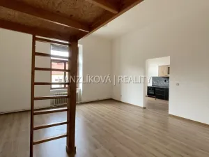 Pronájem bytu 1+1, České Budějovice - České Budějovice 6, Žižkova tř., 49 m2