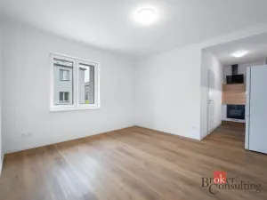 Prodej bytu 2+kk, Ostrava - Mariánské Hory, Cottonové, 37 m2