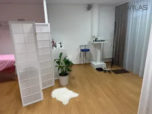 Pronájem komerční nemovitosti, Benešov, Tyršova, 40 m2