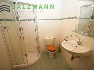 Prodej rodinného domu, Hostouň, 220 m2