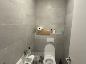 Pronájem bytu 2+kk, Praha - Holešovice, Jankovcova, 63 m2