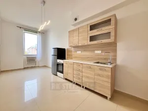 Pronájem bytu 1+kk, České Budějovice - České Budějovice 4, Dobrovodská, 19 m2