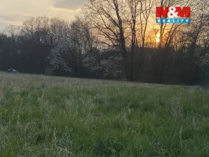 Prodej pozemku pro bydlení, Dobruška, 1948 m2