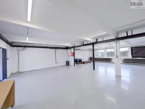 Pronájem skladu, Ledvice, Mírová, 198 m2
