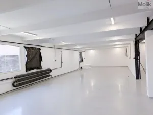 Pronájem skladu, Ledvice, Mírová, 198 m2