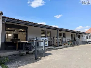 Pronájem skladu, Ledvice, Mírová, 198 m2