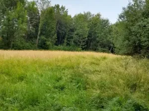 Pronájem pole, Kopřivnice, 510 m2