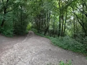 Pronájem pole, Kopřivnice, 510 m2